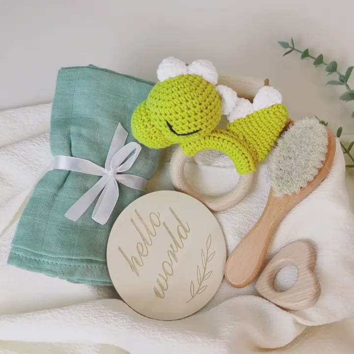Little Dino Welcome Box